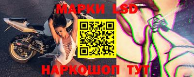 СК Изобильный