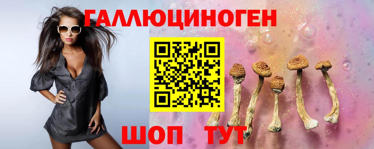 Галлюциногенные грибы Psilocybine cubensis  Галлюциногенные грибы Psilocybine cubensis  Вход с VPN  Дюртюли 